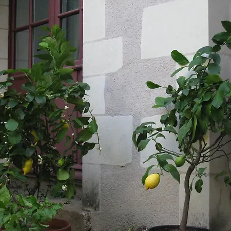 Couette-café Le Logis Des Tourelles 2*