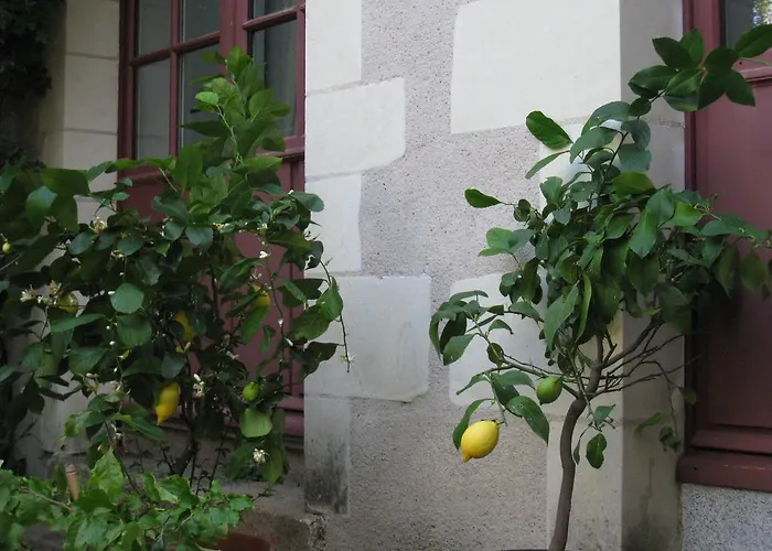 Couette-café Le Logis Des Tourelles 2*